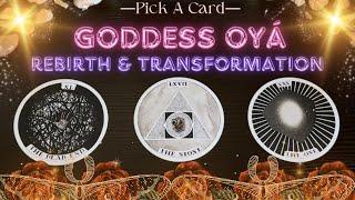 ️️ YOUR REBIRTH & TRANSFORMATION FROM GODDESS OYA ️️| Collab w/@tarotyogivinit