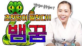 ▶ 사람들이 제일 많이 물어보는 [뱀꿈] ▶ 뱀꿈에 대한 총정리 흉몽 길몽 태몽