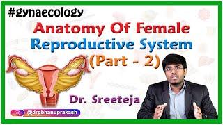 Anatomy of Female reproductive system Part 2 - Uterus and Cervix - OBG Lectures FMGE