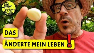 Selbstversorgung mit Knoblauch aus dem Garten | Messerschärfer 100 Jahre alt