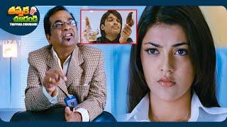 Allu Arjun And Kajal Aggarwal Telugu Full Comedy Scene | @ThappakaChudandi9