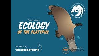 The School of Earth - Ecology of the Platypus