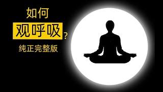 正念冥想 如何觀呼吸操作指導 安那般那 安般法 十六特勝 Mindfulness Meditation How to Breathing meditation Guide Daily buddhist