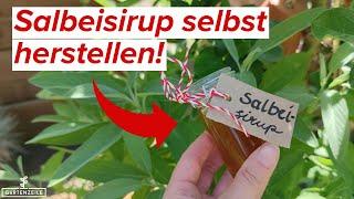 Salbeisirup selbst herstellen - ideal für die Erkältungszeit!