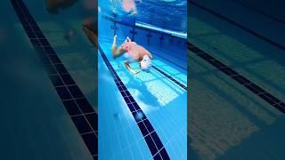 평영선수의 평영의 정석 (연포스) #수영 #swimming #breaststroke