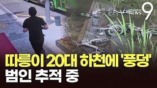 2분만에 따릉이 12대 성북천 '풍덩'…경찰, 범인 추적 중