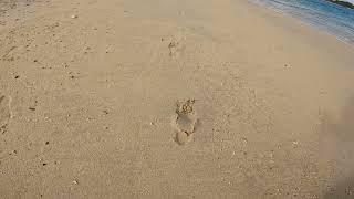 Footprints in the Sand - Narrated by Gabriella White [The Culture Cave]