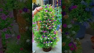 Portulaca Tower || How to make flower Tower #portulacaflower #shorts #mossrose