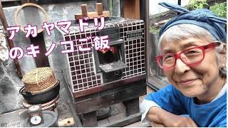 キノコをいただいたので、お釜ご飯とスパゲッティーを作ったよ、70代田舎が暮らし女子のささやかな楽しみです