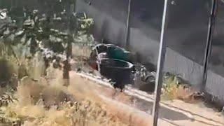 Нападение льва на директора Тайган Олега Зубкова полное видео