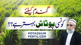 Which form of potash is better for Wheat crop || Crop Reformer