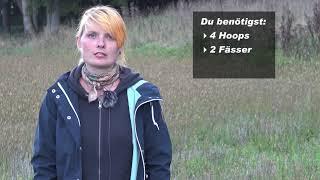 Hoopers-Agility: Anfänger-Parcours (Vorschau)