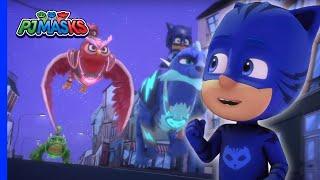 Thieves in the Night, Caught! | PJ Masks