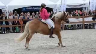 Horse Event 2016 Nalanta