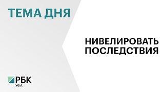 Поголовье крупного рогатого скота в РБ сократилось на 1,8%, - до 411 тыс.