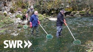 Leben am Neckar - Fischer, Flößer und Industrie-Pioniere  | SWR Geschichte & Entdeckungen