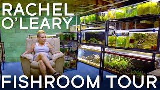 Touring Rachel O'Leary's Fishroom in 4K