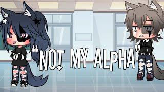 “Not my Alpha” episode 1 Gacha life glmm