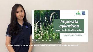 Imperata cylindrica as a Bioplastic Alternative