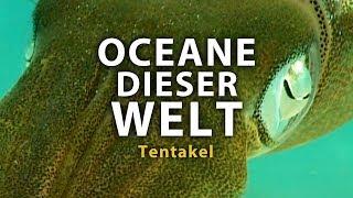 Ozeane dieser Welt - Tentakel (2011) [Dokumentation] | Film (deutsch)