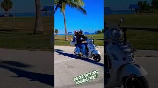 Vespa Club of Sarasota goes to the Old Salty Dog