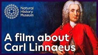 A film about Carl Linnaeus | Natural History Museum