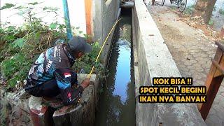 Spot Sekecil Ini Siapa Sangka Banyak Ikan Nila nya juga