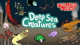 Deep sea animals | What kind of fish lives under the deep sea? | Kids Draw