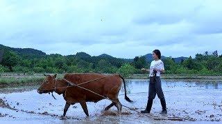 During the farming season, drink some homemade beer together for cool and appetite.