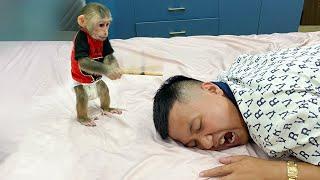 Cubis Monkey attacked Dad just for this funny reason!