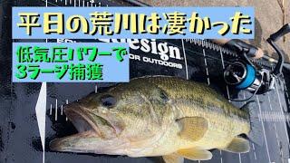 【荒川バス釣り】土日アングラーが平日にバス釣りしたら転職したくなったお知らせ