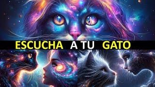 7 Señales de Que tu Gato Te Está Ofreciendo Orientación Espiritual