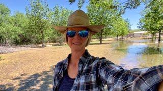 2nd Ditch Irrigation Day-How We Water Our Pecan & Fruit Trees From a Late 1800's Ditch