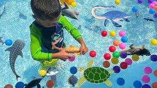 Ocean Animals Collection In Colorful Balls Pool | Sink Or Float?Jeremy and Twin Brothers