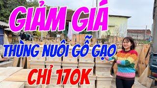 Thùng nuôi ong mật nội gỗ gạo , dày dặn , giá chỉ 170k/ thùng