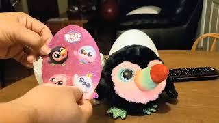 Unboxing! Zuru Pets Alive! Chirpy Birds!  #toysforkids