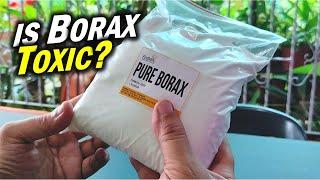 The Shocking Truth About BORAX: Is It TOXIC or SAFE? (sodium tetraborate)