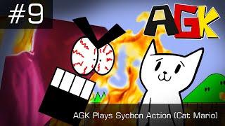 Angry German Kid Episode #9: AGK Plays Syobon Action (Cat Mario)