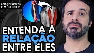 ENTENDA A RELAÇÃO ENTRE ESSES ACIDENTES ÓSSEOS E OS MÚSCULOS!