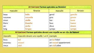 Masculin, féminin, singulier, pluriel - Grammaire française