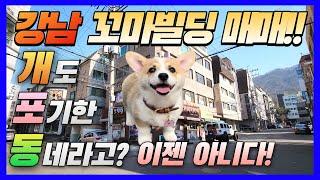 강남 꼬마빌딩 매매 / 초등학교 정문 인근 사거리 코너건물로 유동인구 풍부 / 적은 매매 금액대로 강남빌딩 구매!