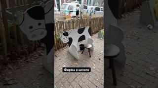 Школа в Бельгии. Бельгийское дошкольное образование. Ферма в школе.