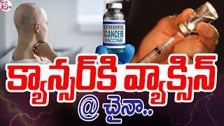 Good News To Cancer Patients | China Invents Cancer Vaccine | Vaccine For Cancer | SumanTV