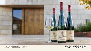 Van Volxem Saar Riesling 2019 - Probe