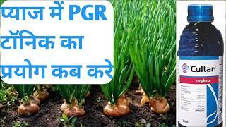 प्याज में pgr टॉनिक का प्रयोग कब करे । प्याज में PGR tonic । प्याज में cultar का उपयोग । Nitin DeoL