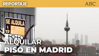 El calvario de ALQUILAR un PISO en Madrid | #Vivienda #Alquiler