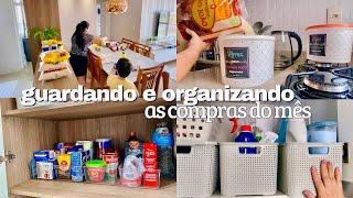 ORGANIZAÇÃO DAS COMPRAS DO MÊS | guardando e organizando tudo nos armários e geladeira | Laís Duo