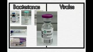 Clasificación de las Vacunas (Bacterianas y Virales) 