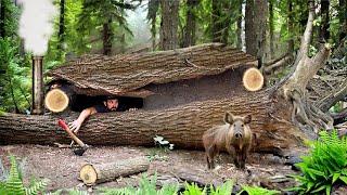 Building of a secret dugout under a fallen tree