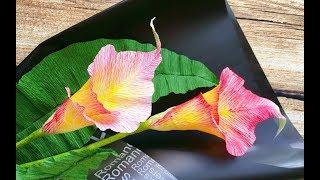 ABC TV | How To Make Calla Lily Paper Bouquet Flower From Crepe Paper #1 - Craft Tutorial